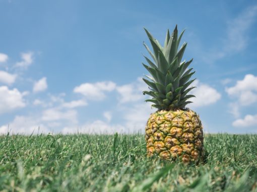 Le Pineapple Fund : le premier exemple de don en crypto monnaies, d'une valeur de 86 millions de $